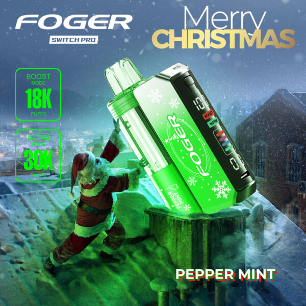 Peppermint Foger Switch Pro Kit 30K Puffs