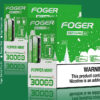 Peppermint Foger Switch Pro Kit 30K Puffs