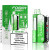 Peppermint Foger Switch Pro Kit 30K Puffs