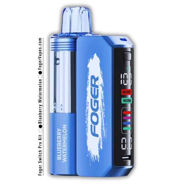 Blueberry Watermelon Foger Switch Pro Kit 30K Puffs
