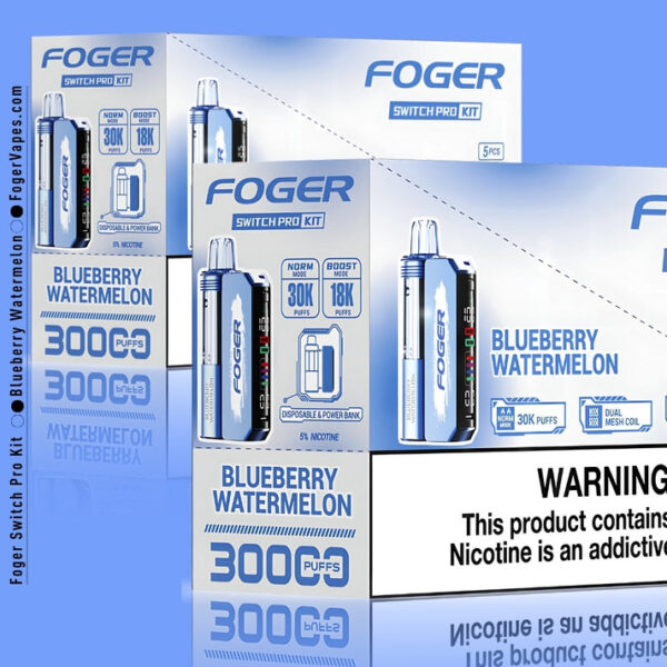 Blueberry Watermelon Foger Switch Pro Kit 30K Puffs