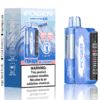 Frozen Blueberry – Foger Switch Pro Kit 30K Puffs