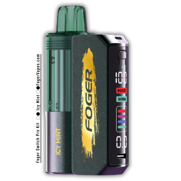 Icy Mint Foger Switch Pro Kit 30K Puffs
