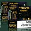 Icy Mint Foger Switch Pro Kit 30K Puffs
