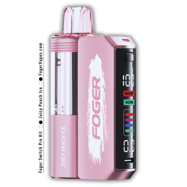 Juicy Peach Ice Foger Switch Pro Kit 30K Puffs