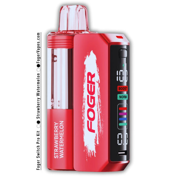 Strawberry Watermelon Foger Switch Pro Kit 30K Puffs