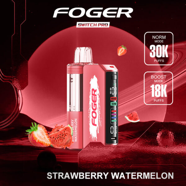 Strawberry Watermelon Foger Switch Pro Kit 30K Puffs